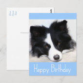 Happy Birthday Border Collie Puppy Dog Post Kaart (Voorkant / Achterkant)