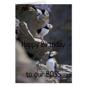 Happy Birthday Boss Cute Puffin Birds Animal Humor