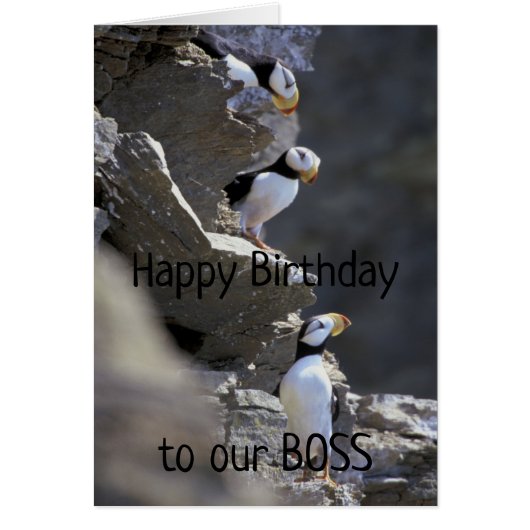 Happy Birthday Boss Cute Puffin Birds Animal Humor (Voorkant)