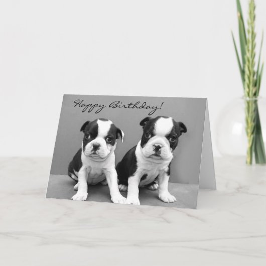 Happy Birthday Boston Terrier wenskaart Kaart (Voorkant)