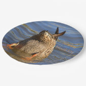 Happy Birthday Bottomes up Duck Papieren Bordje (Gekanteld)