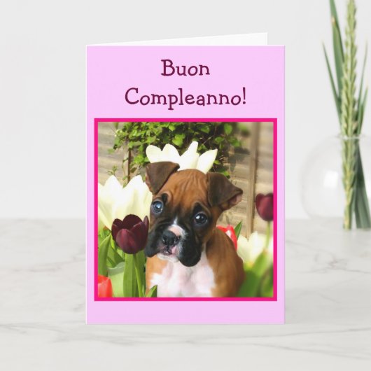 Happy Birthday boxer dog greeting card Kaart (Voorkant)