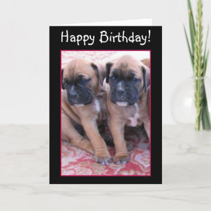 Happy Birthday Boxer puppies wenskaart Kaart