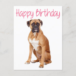 Happy Birthday Boxer Puppy Dog Briefkaart