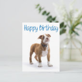 Happy Birthday Boxer Puppy Dog Postard Briefkaart (Staand voorkant)