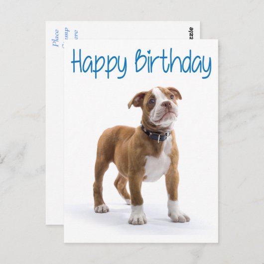 Happy Birthday Boxer Puppy Dog Postard Briefkaart (Voorkant / Achterkant)