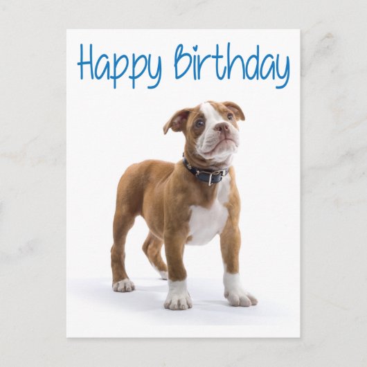 Happy Birthday Boxer Puppy Dog Postard Briefkaart (Voorkant)