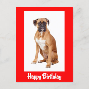 Happy Birthday Boxer Puppy Dog Red Briefkaart