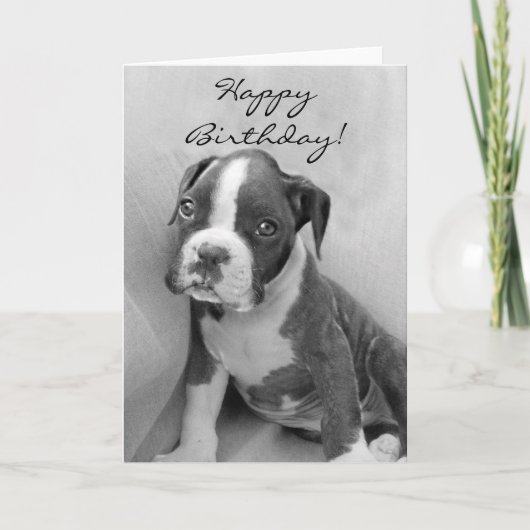 Happy Birthday Boxer puppy Kaart (Voorkant)