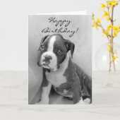 Happy Birthday Boxer puppy Kaart (Gele Bloem)