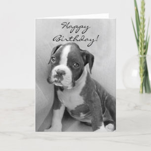 Happy Birthday Boxer puppy Kaart