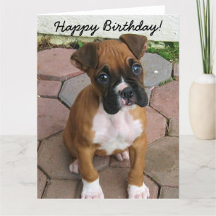 Happy Birthday Boxer puppy wenskaart Kaart