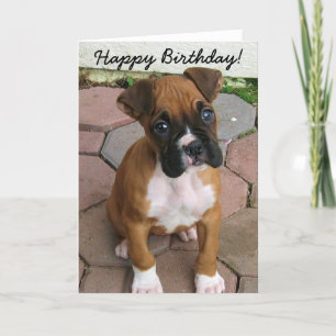 Happy Birthday Boxer puppy wenskaart Kaart
