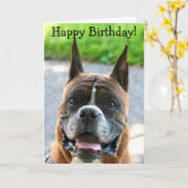 Happy Birthday Boxer wenskaart Kaart (Gele Bloem)