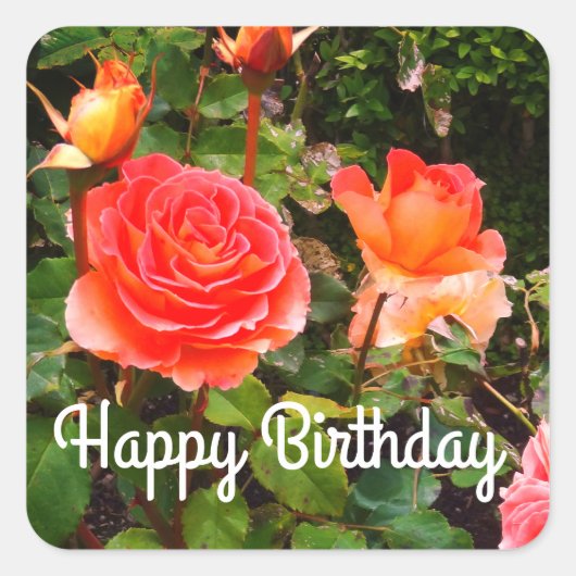 Happy Birthday Brass Band Roos #1-1 Stickers (Voorkant)