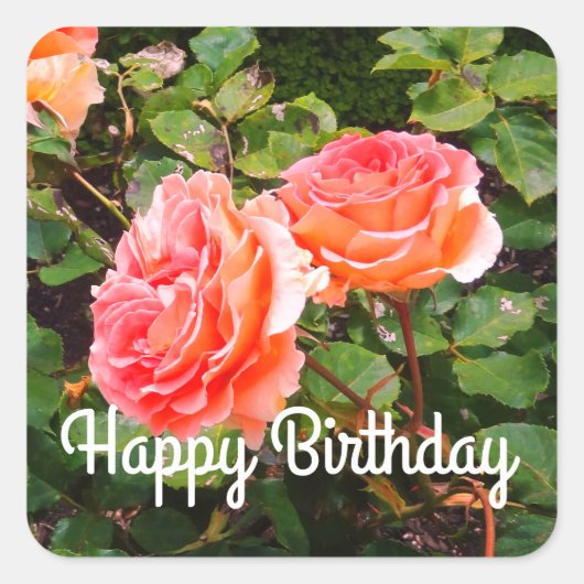 Happy Birthday Brass Band Roos #1-2 Stickers (Voorkant)