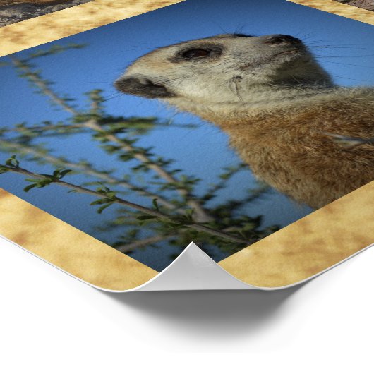 Happy Birthday Brea Poster (Hoek)