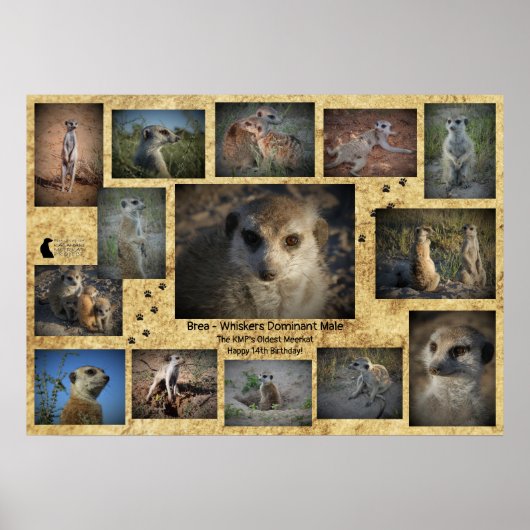 Happy Birthday Brea Poster (Voorkant)