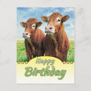 Happy Birthday Briefkaart