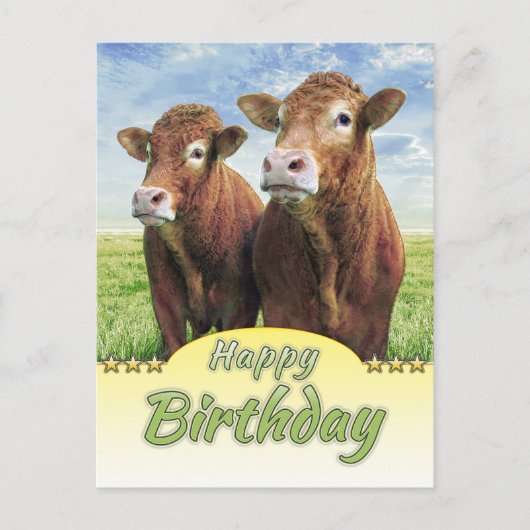 Happy Birthday Briefkaart (Voorkant)