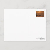 Happy Birthday Briefkaart (Achterkant)