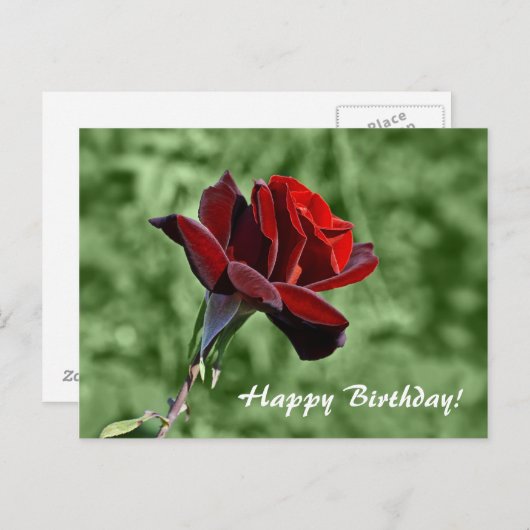 Happy Birthday Briefkaart (Voorkant / Achterkant)