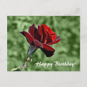 Happy Birthday Briefkaart