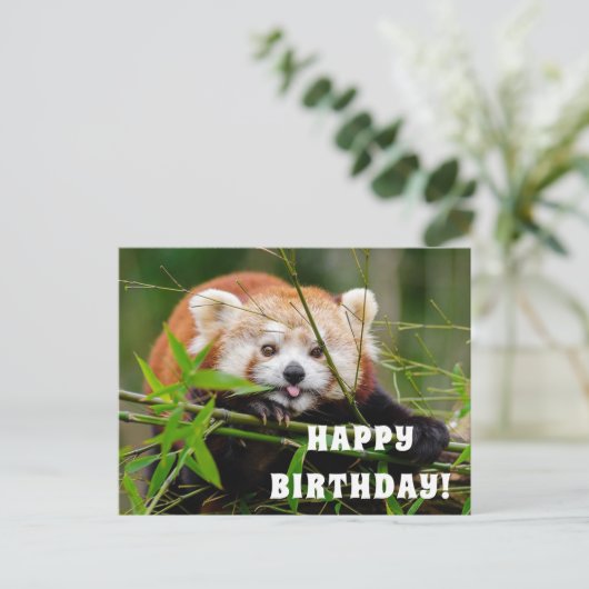 Happy Birthday Briefkaart (Staand voorkant)