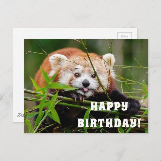 Happy Birthday Briefkaart (Voorkant / Achterkant)