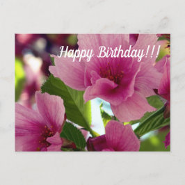 Happy Birthday Briefkaart