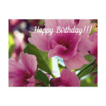 Happy Birthday Briefkaart