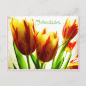 Happy Birthday Briefkaart (Voorkant)