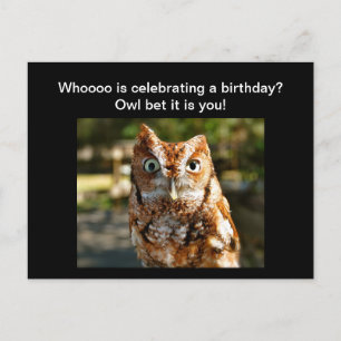 Happy Birthday Briefkaart Eastern Screech Owl