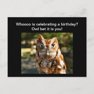 Happy Birthday Briefkaart Eastern Screech Owl