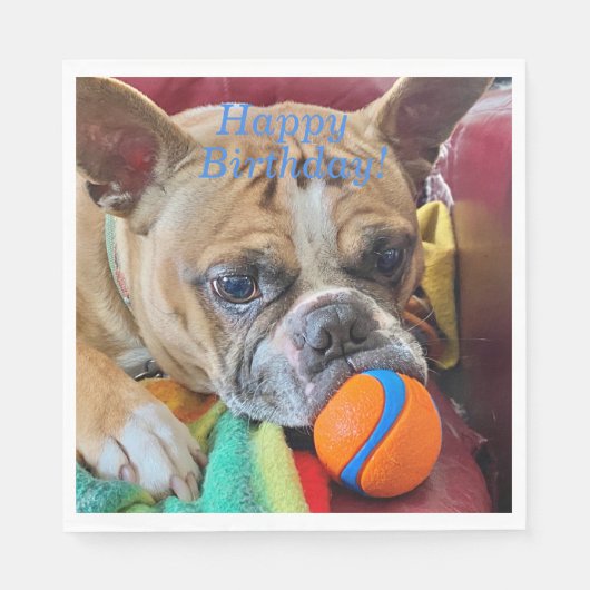 Happy Birthday Brindle Boston Terrier Servet (Voorkant)