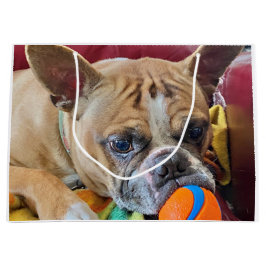 Happy Birthday Brindle Bostyon Terrier Groot Cadeauzakje