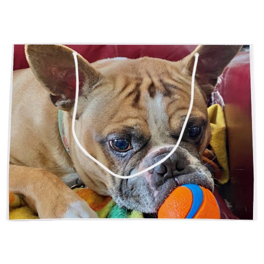 Happy Birthday Brindle Bostyon Terrier Groot Cadeauzakje (Voorkant)