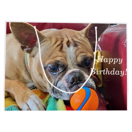 Happy Birthday Brindle Bostyon Terrier Groot Cadeauzakje (Achterkant)