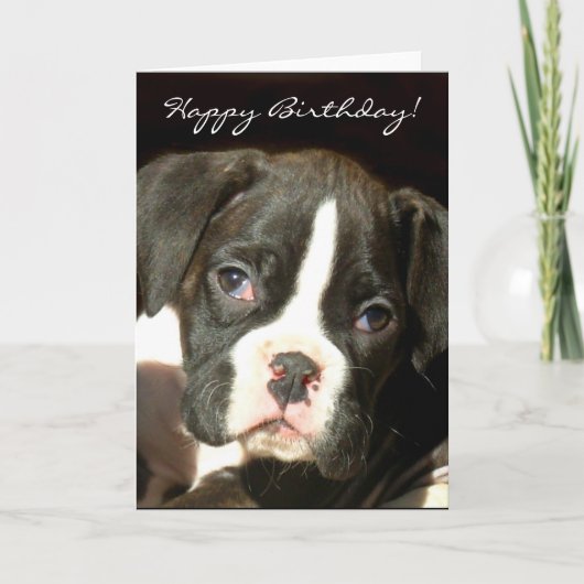 Happy Birthday Brindle boxer puppy wenskaart Kaart (Voorkant)