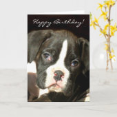 Happy Birthday Brindle boxer puppy wenskaart Kaart (Gele Bloem)