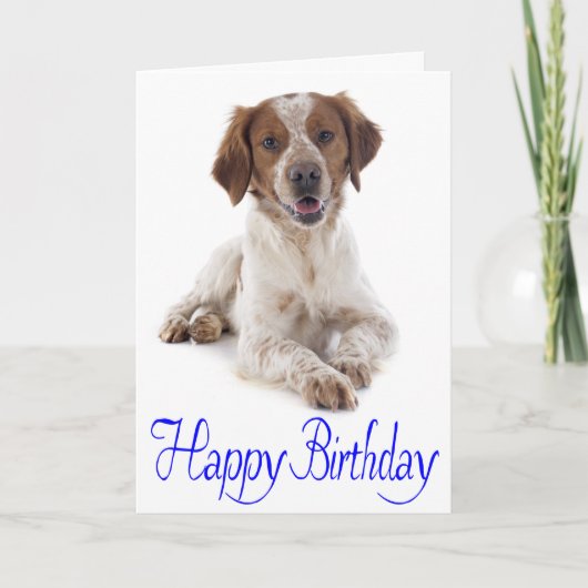 Happy Birthday Britany Spaniel Puppy Dog Card Kaart (Voorkant)