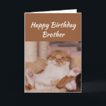 Happy Birthday Brother Celebrate Funny Cat Kaart<br><div class="desc">Happy Birthday Brother Celebrate the any way you want with a schattig relaxing Cat Funny animal verjaardagstgroet to personate</div>