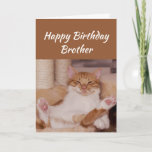 Happy Birthday Brother Celebrate Funny Cat Kaart<br><div class="desc">Happy Birthday Brother Celebrate the any way you want with a schattig relaxing Cat Funny animal verjaardagstgroet to personate</div>
