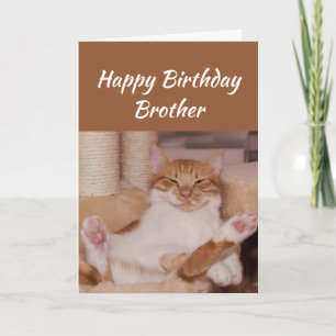 Happy Birthday Brother Celebrate Funny Cat Kaart