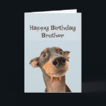 Happy Birthday Brother Fun Dog Oude Man Kaart<br><div class="desc">Happy Birthday Grumpy Old Man Brother schattige getraumatiseerde hond</div>