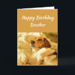 Happy Birthday Brother Funny Animals Kaart<br><div class="desc">Happy Birthday Brother Dog schokte het kijken of verbaasde Funny Animals. Vriendschap Fun en lachen Birthdays sluipen je op.</div>