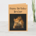 Happy Birthday Brother Funny Red Squirrel Kaart<br><div class="desc">Grappig Birthday-kaart voor je broer Je veroudert als een eikel die uit kijkt naar het vallen van noten</div>
