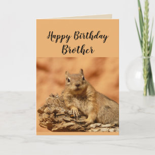 Happy Birthday Brother Funny Squirrel Humor Kaart