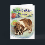 Happy Birthday Brother Haal veel te veel Humor Box Kaart<br><div class="desc">Heeft een broer die van boxers houdt,  honden of blauw voelt over hun leeftijd? Ze zijn niet erg enthousiast over hun verjaardag. Deze trieste Boxer-hond zal ze opvrolijken.</div>