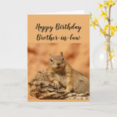 Happy Birthday Brother-in-law Funny Squirrel Relax Kaart (Gele Bloem)